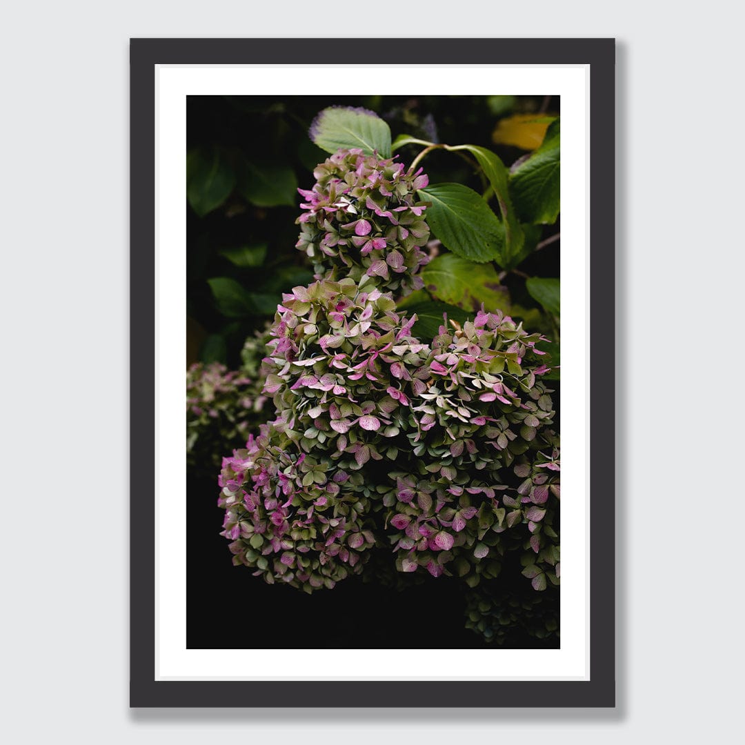 Lilt Photographic Art Print by Charlotte Clements