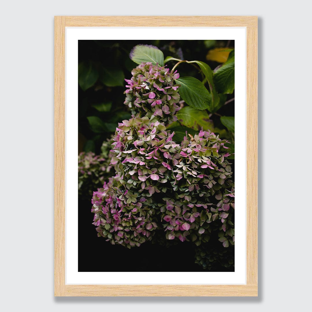 Lilt Photographic Art Print by Charlotte Clements