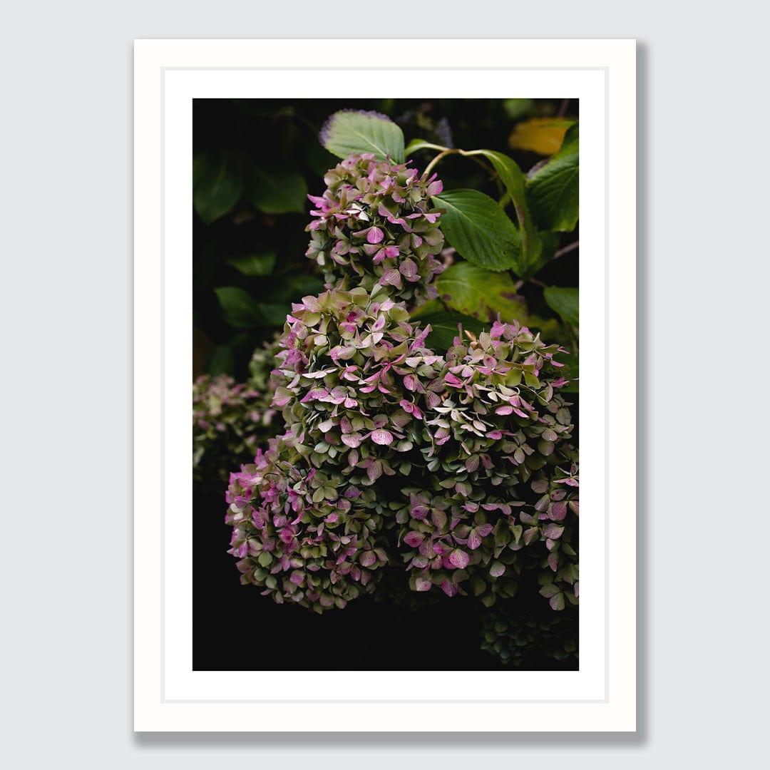 Lilt Photographic Art Print by Charlotte Clements