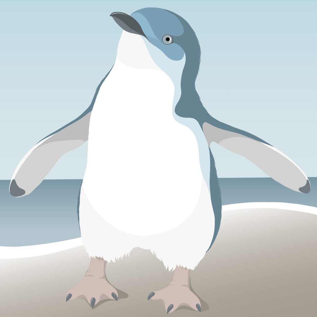 Little Blue Penguin Art Print by Cathy Hansby