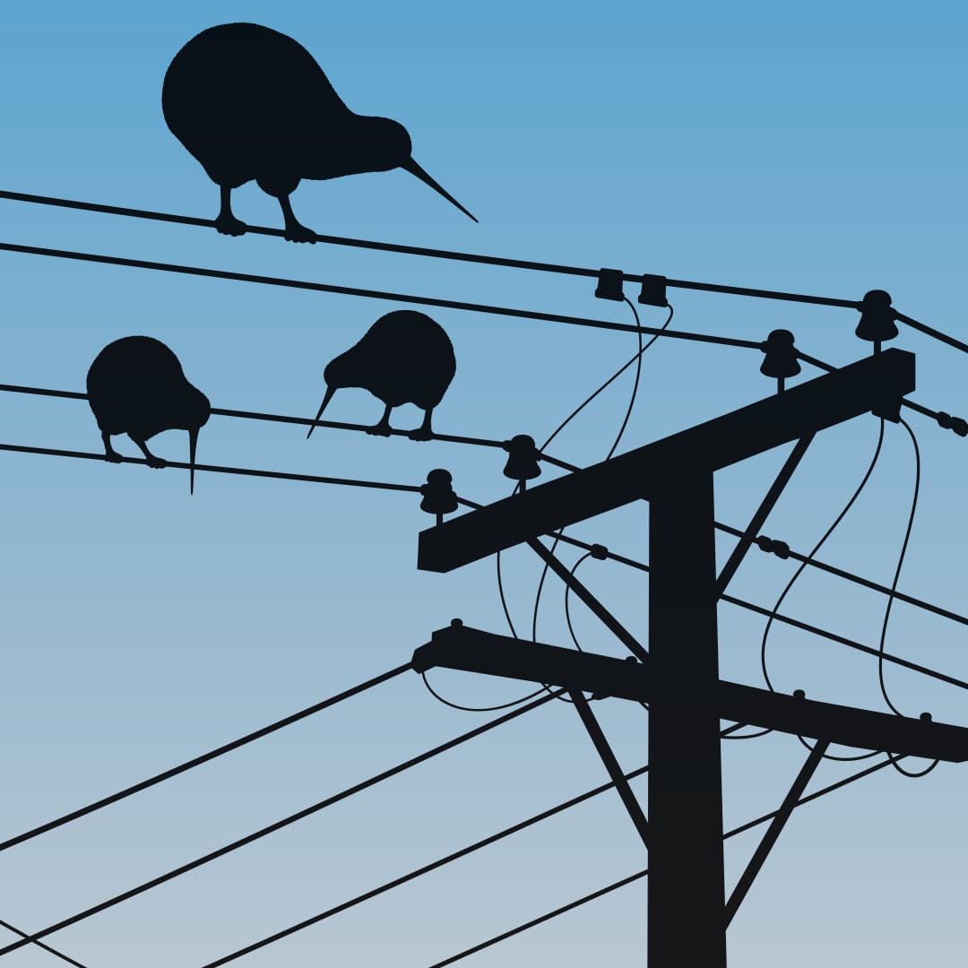  Local Flock Art Print by Glenn Jones