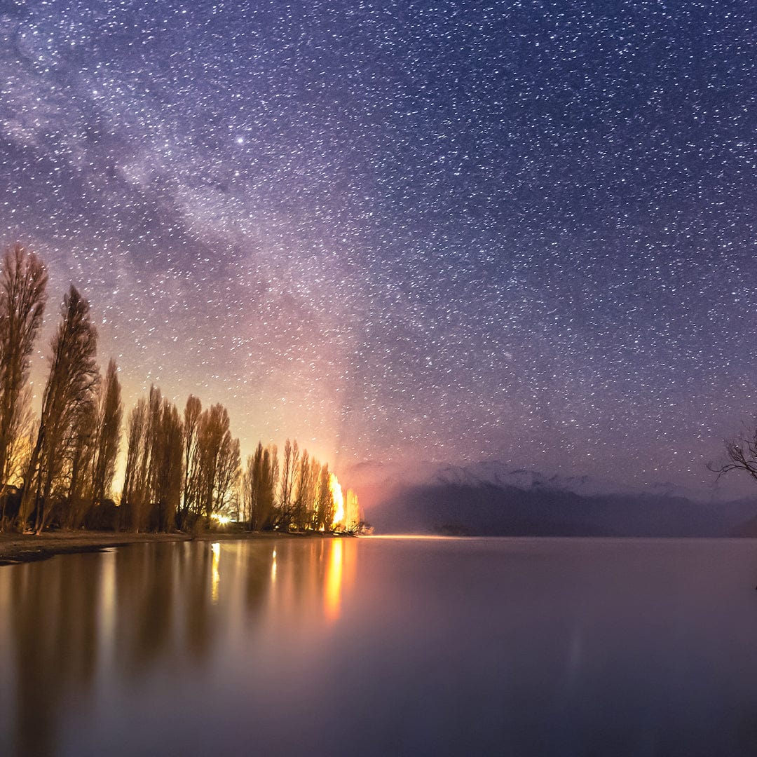 Lonely Tree – Wanaka Photographic Print by Mike Mackinven