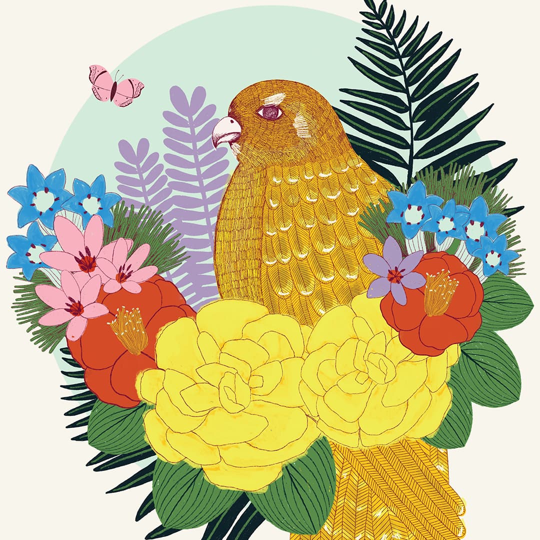 Lost Paradise Karearea Art Print by Crissie Rodda