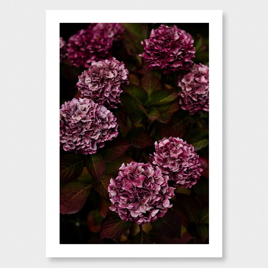 Luna Photographic Art Print by Charlotte Clements