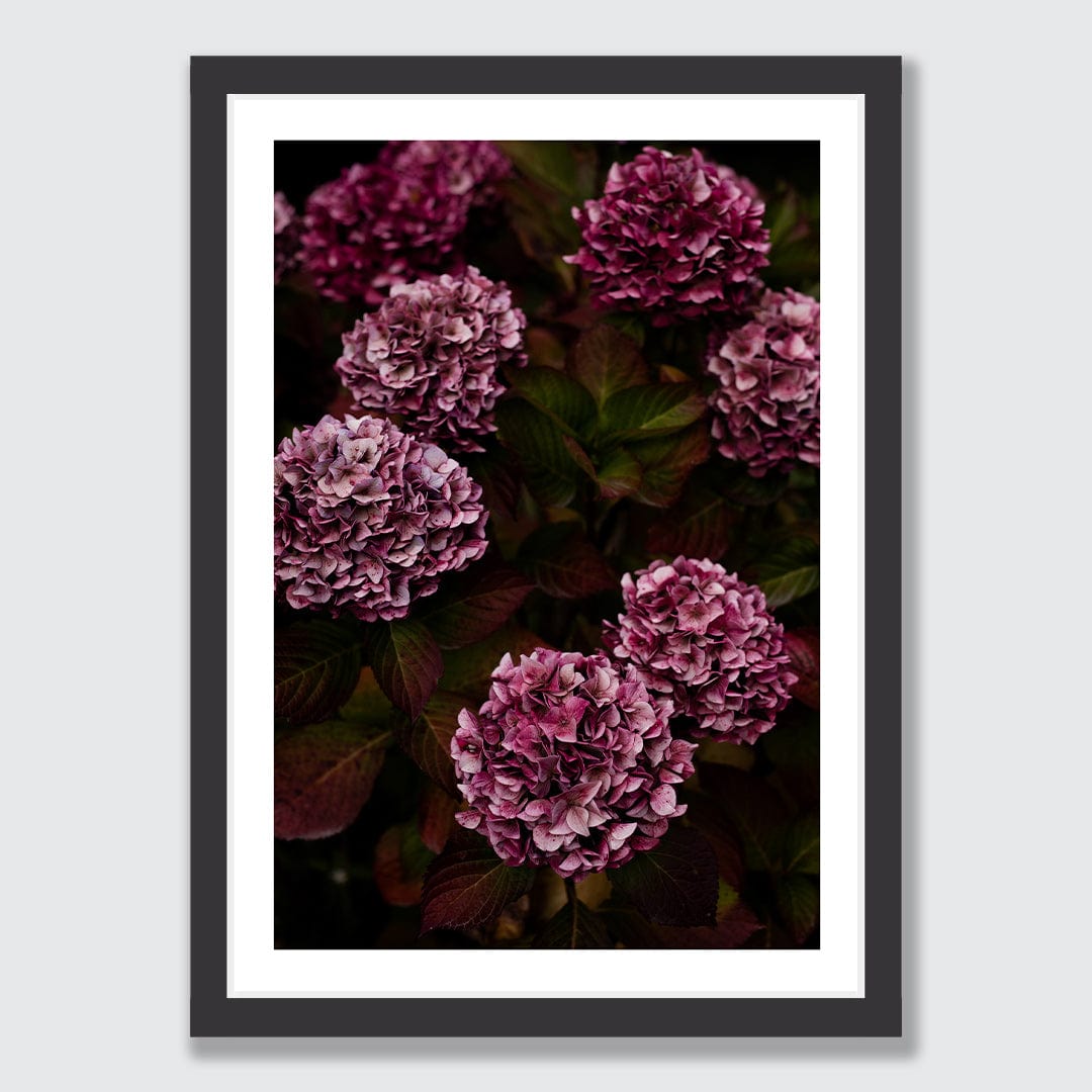 Luna Photographic Art Print by Charlotte Clements