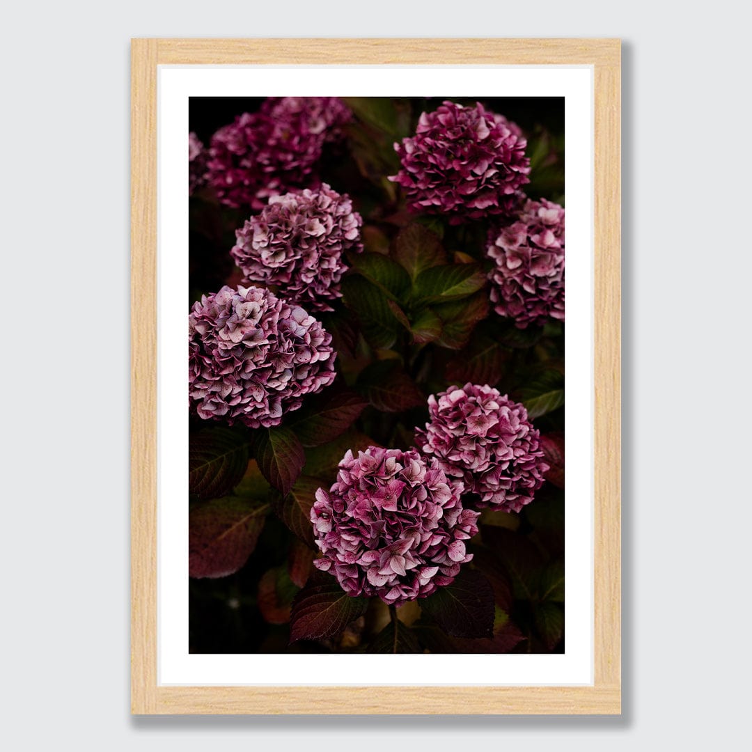 Luna Photographic Art Print by Charlotte Clements