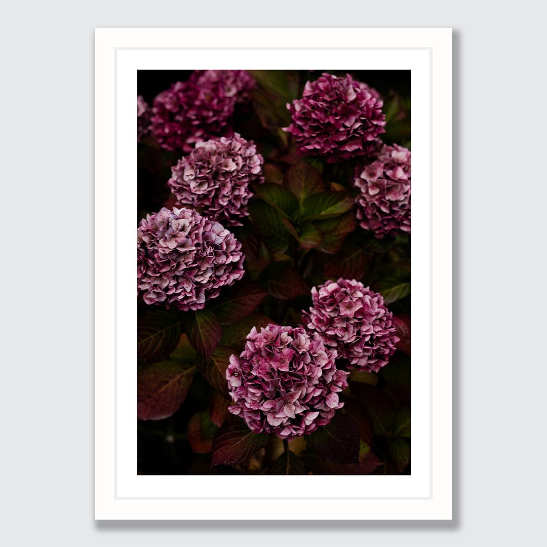 Luna Photographic Art Print by Charlotte Clements