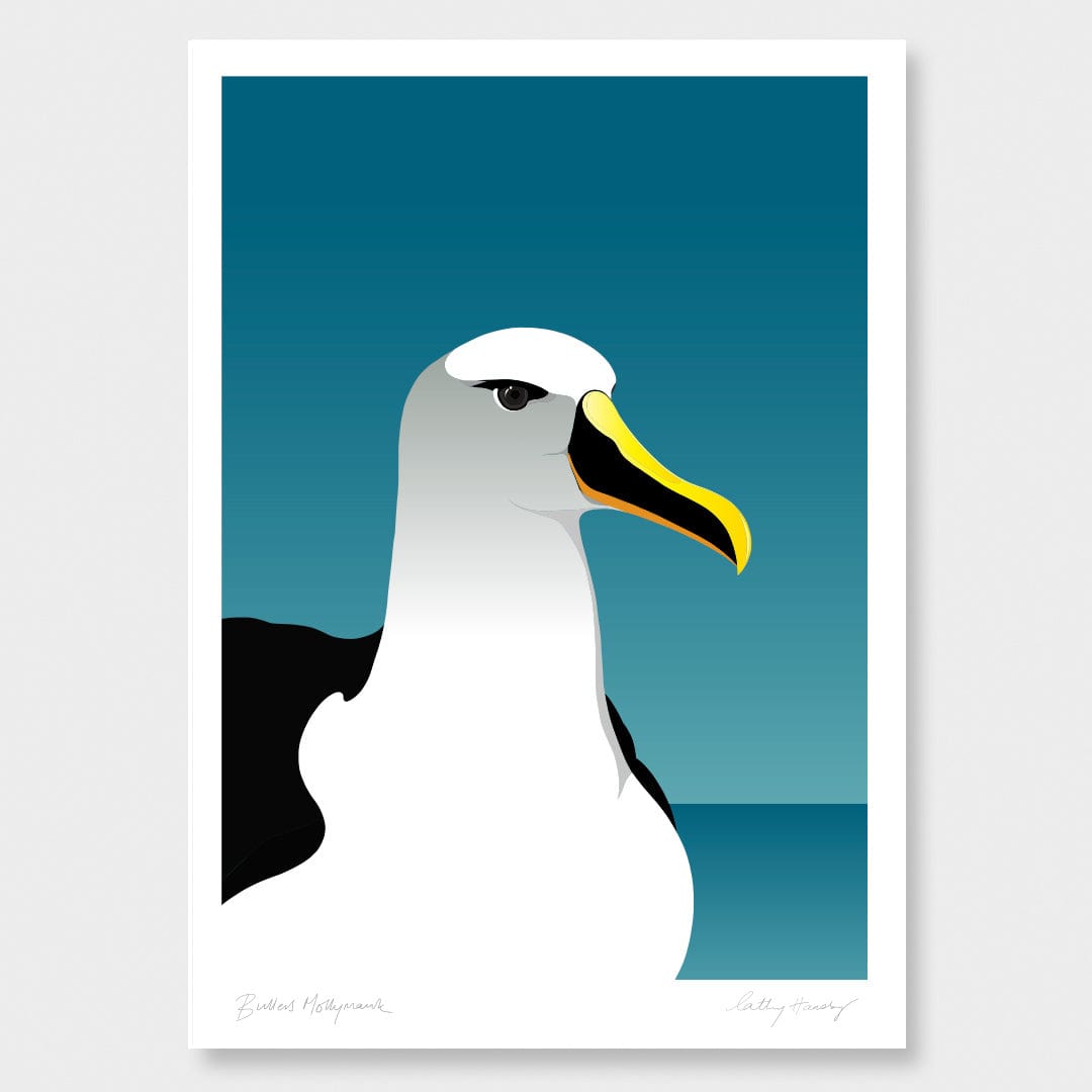 Mollymawk - Toroa Art Print by Cathy Hansby