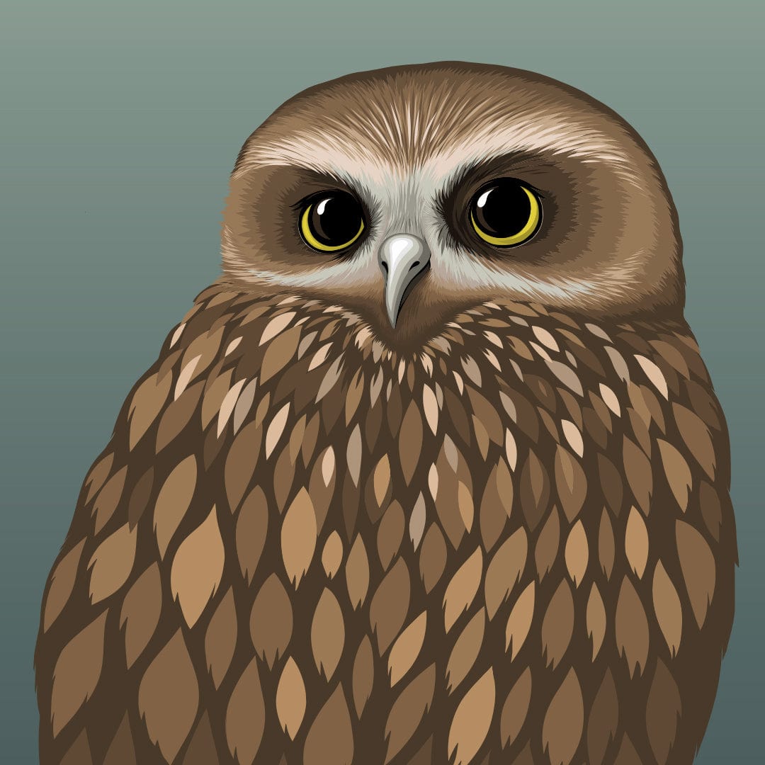 Morepork - Ruru Art Print by Cathy Hansby