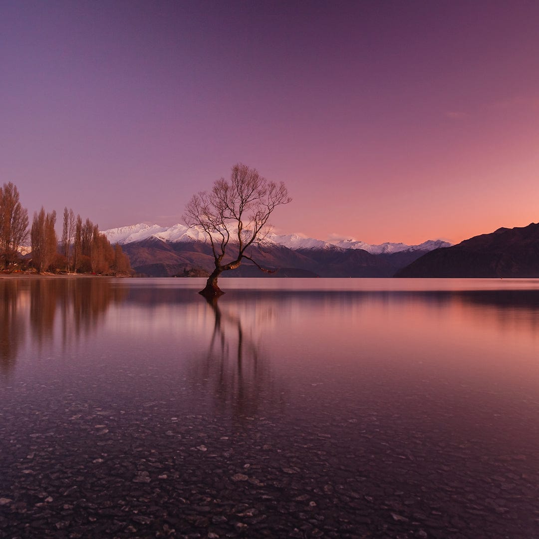 Morning Glow - Wanaka Photographic Print by Mike Mackinven