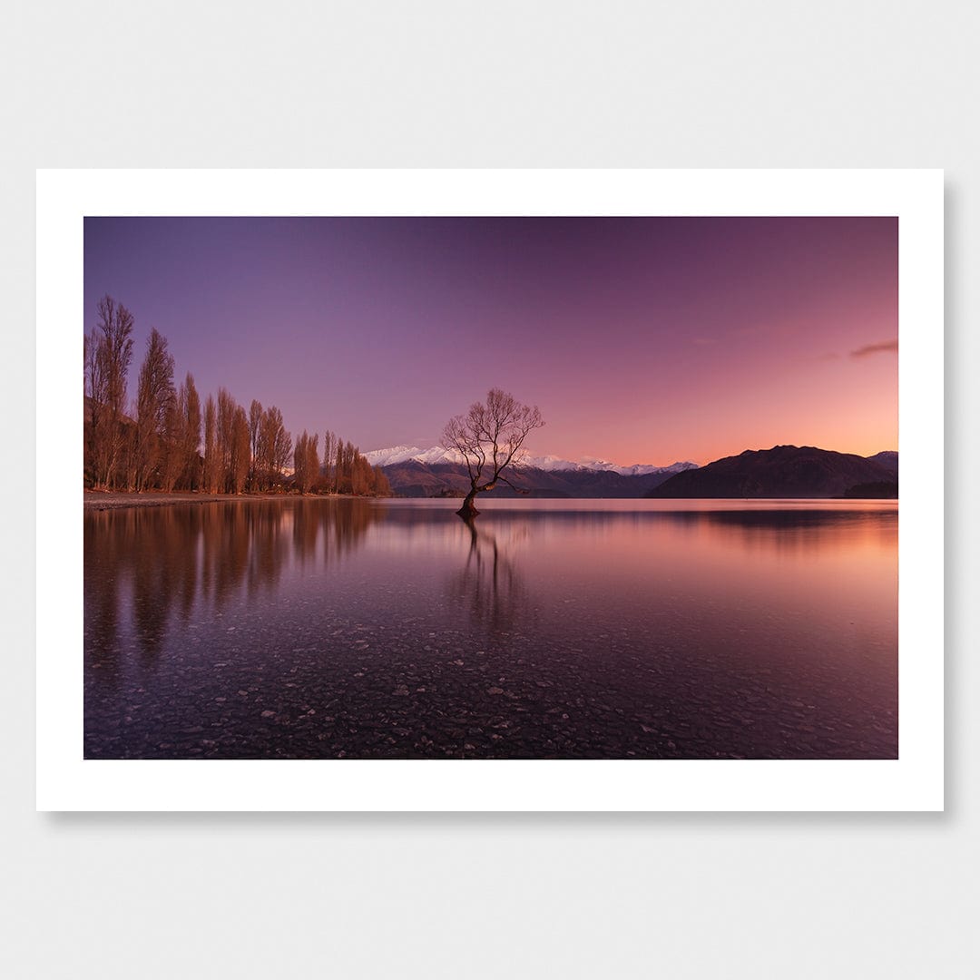 Morning Glow - Wanaka Photographic Print by Mike Mackinven