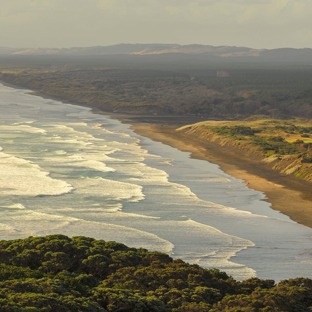 Muriwai Photographic Print by Mike Mackinven