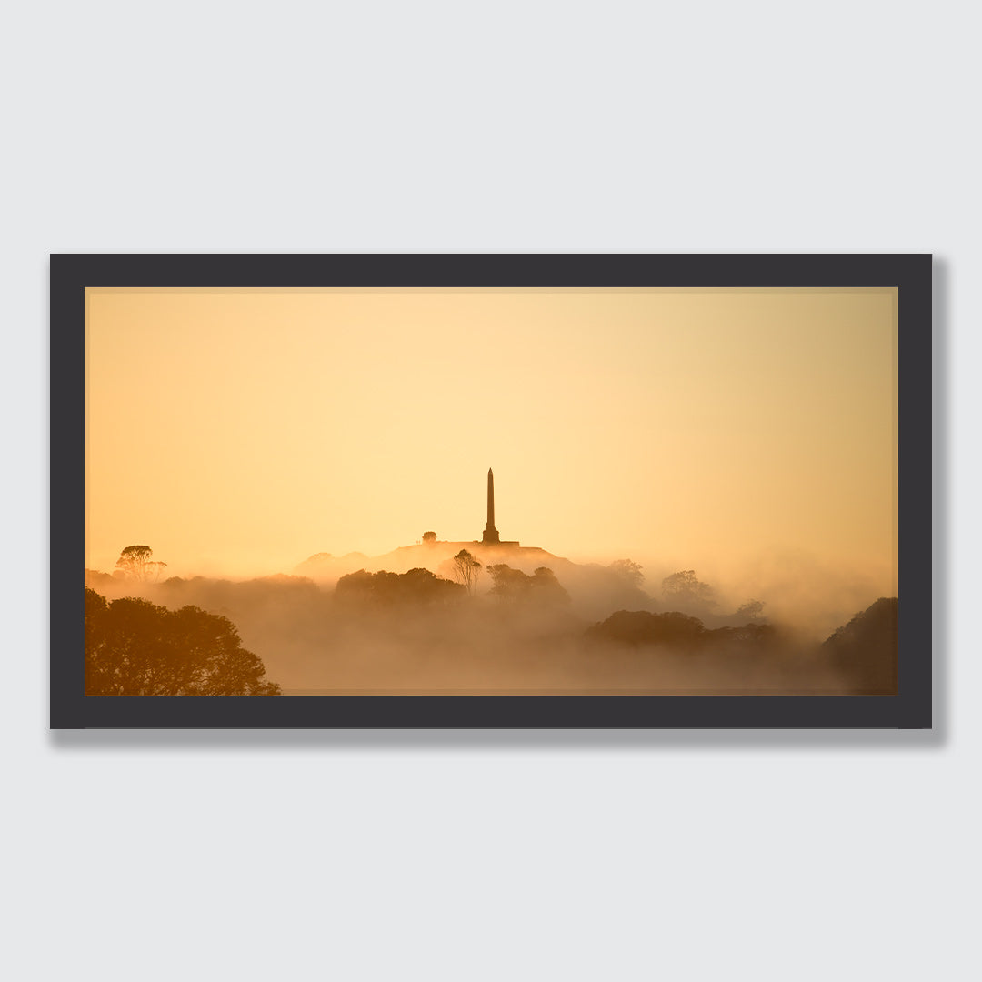None Tree Hill Photographic Art Print by Jeremy Cole