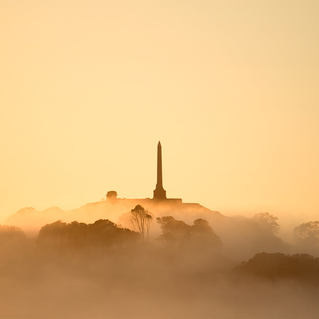 None Tree Hill Photographic Art Print by Jeremy Cole