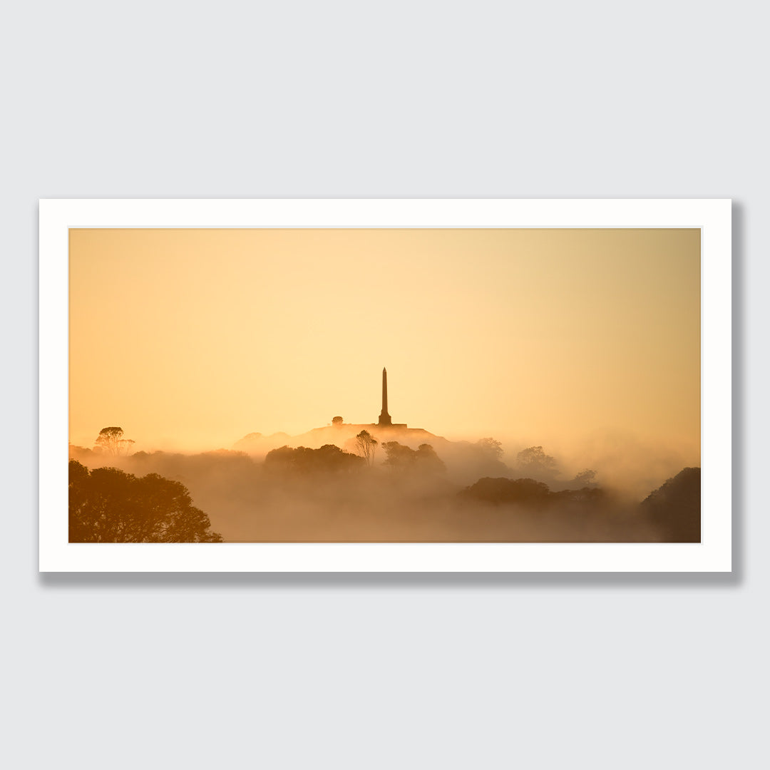 None Tree Hill Photographic Art Print by Jeremy Cole