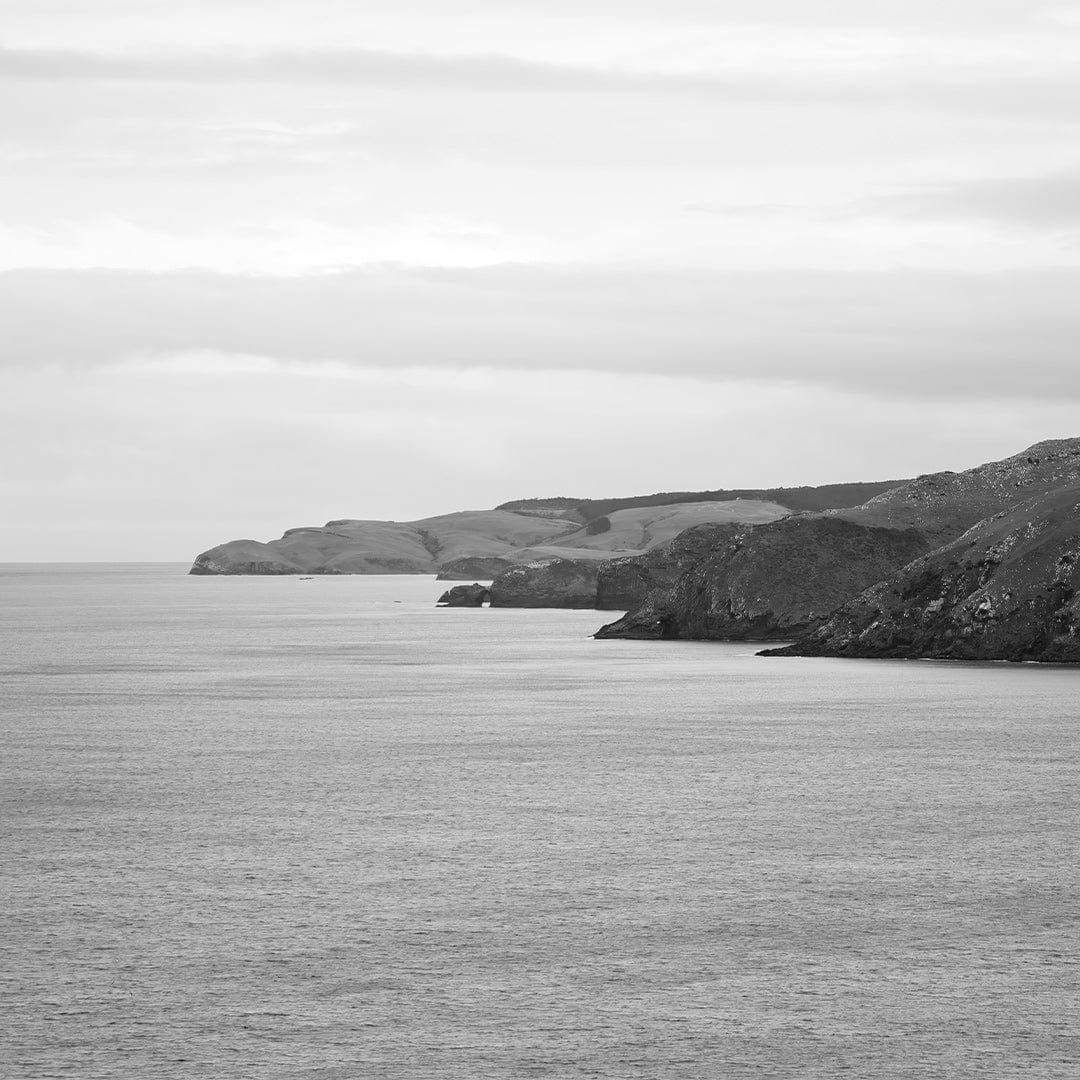 Nowhere Else to Be Photographic Art Print by Elliot Alexander