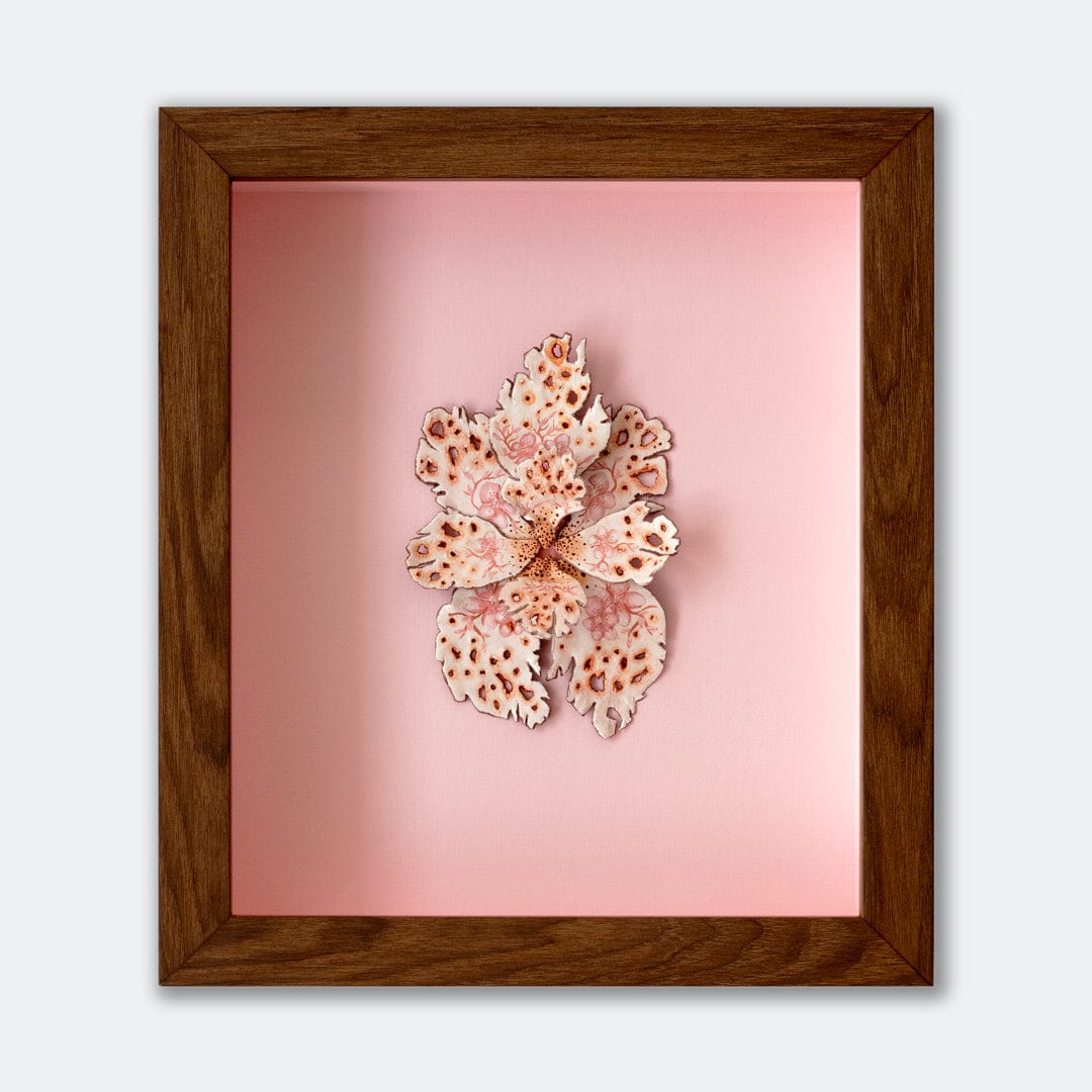 Orchid no. 7 Original Artwork by Mattie MacNeil