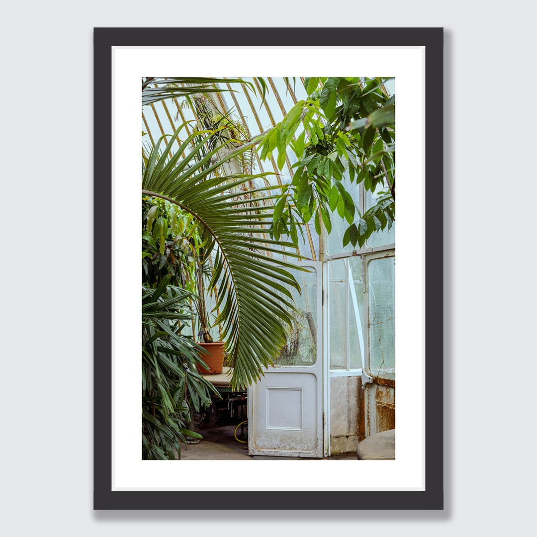 Ornamental Photographic Print by Amy Wybrow