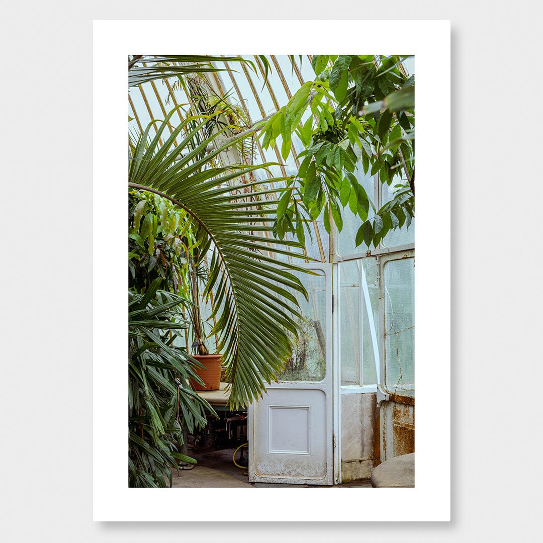 Ornamental Photographic Print by Amy Wybrow