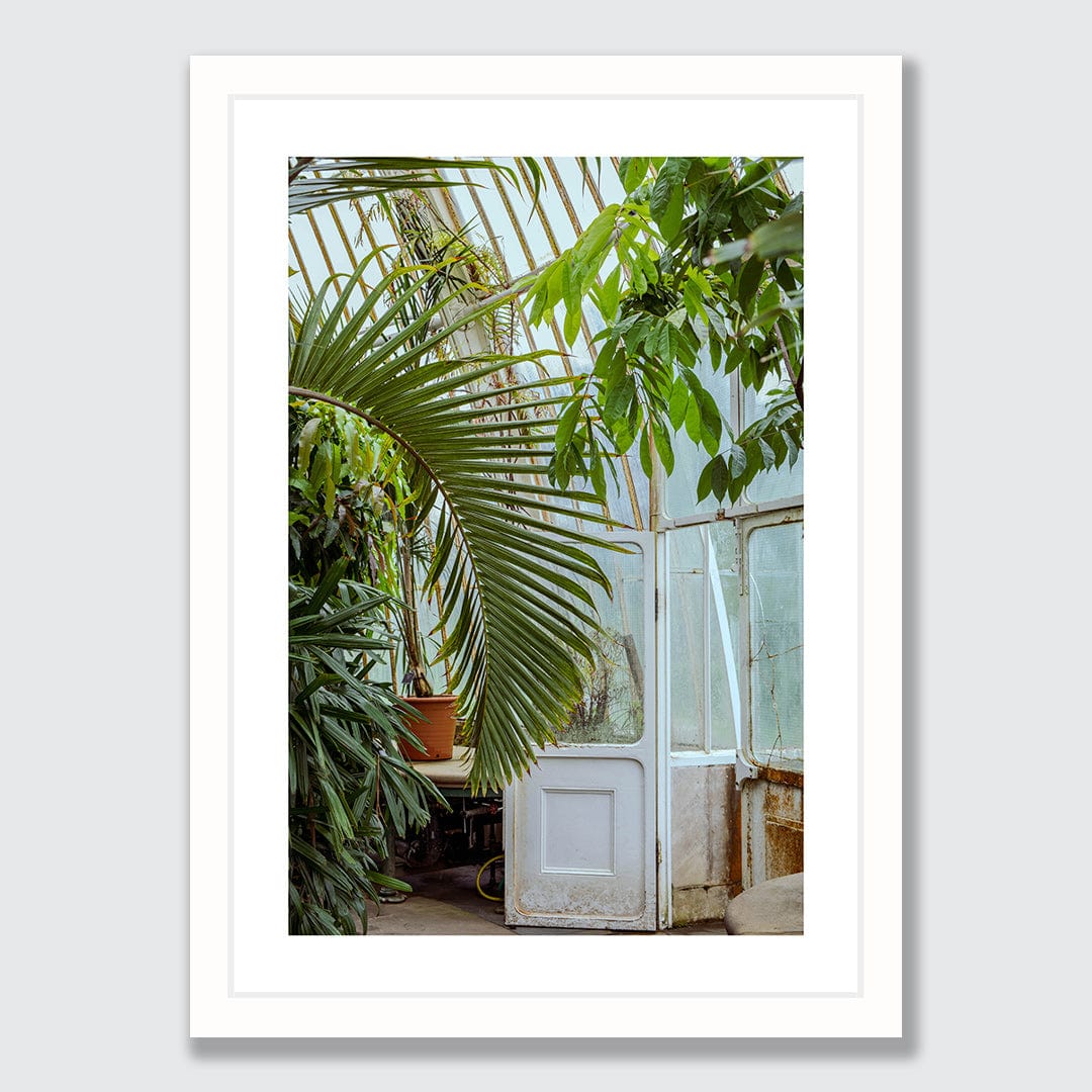 Ornamental Photographic Print by Amy Wybrow