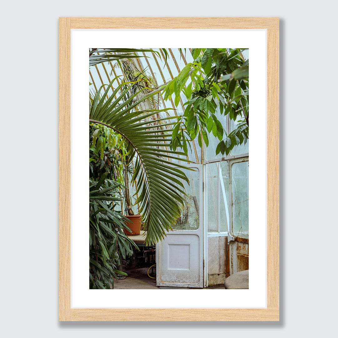 Ornamental Photographic Print by Amy Wybrow