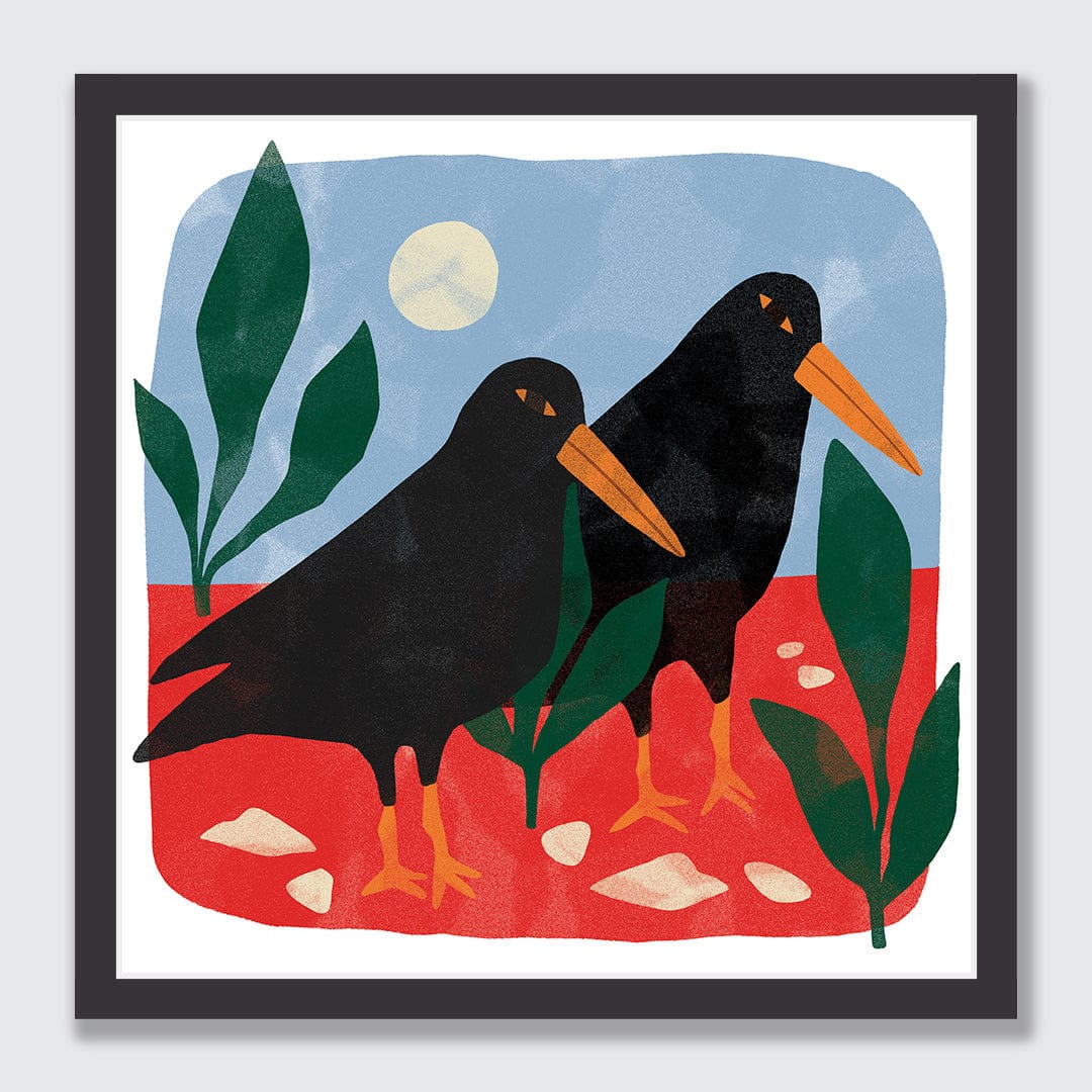 Oyster Catcher Art Print by Agustina Shuan