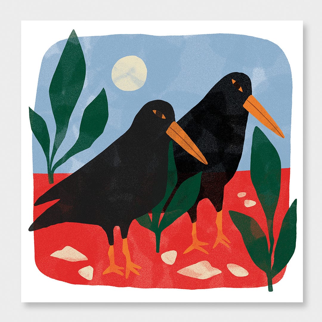 Oyster Catcher Art Print by Agustina Shuan