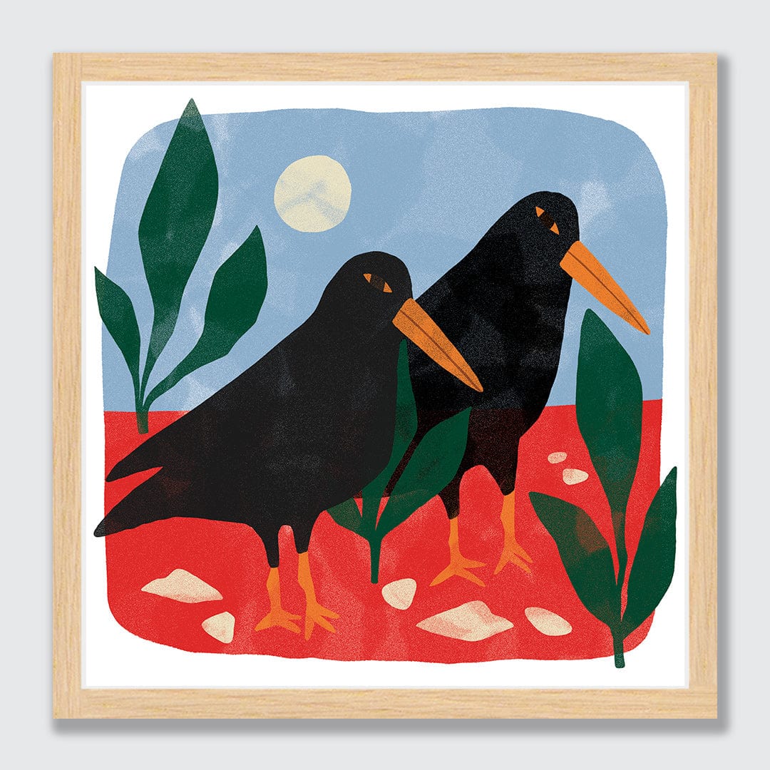 Oyster Catcher Art Print by Agustina Shuan