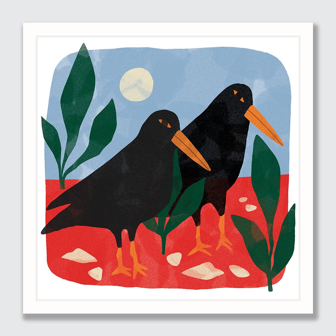 Oyster Catcher Art Print by Agustina Shuan