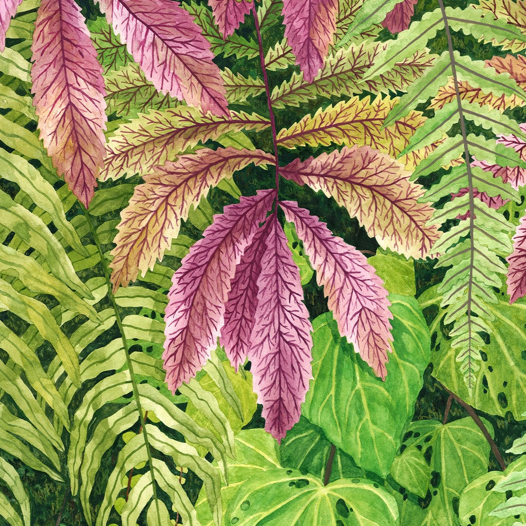 Parataniwha Art Print by Emma Huia Lovegrove