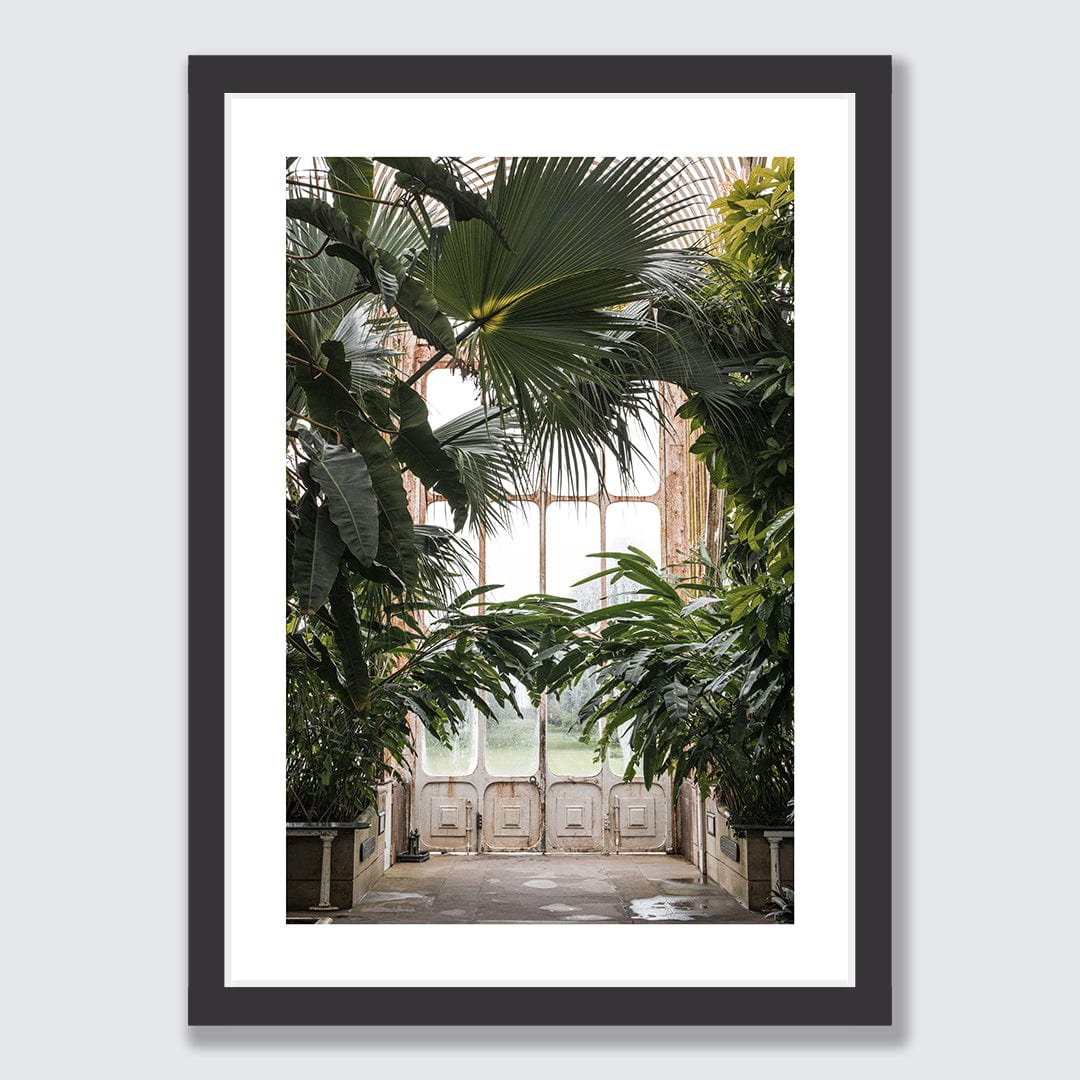 Palm Photographic Print by Amy Wybrow