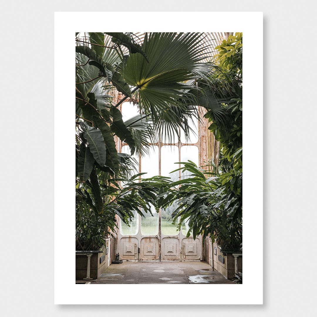 Palm Photographic Print by Amy Wybrow