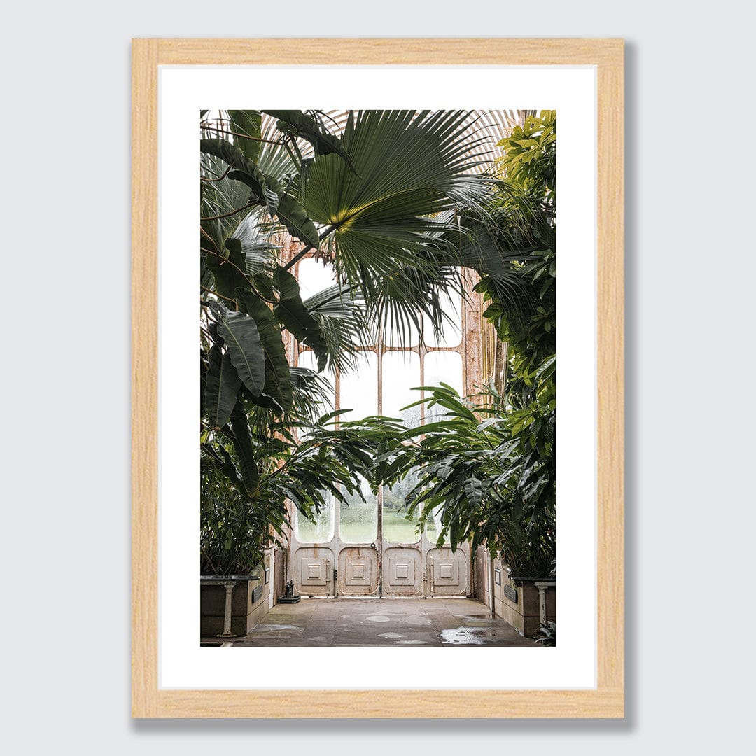 Palm Photographic Print by Amy Wybrow