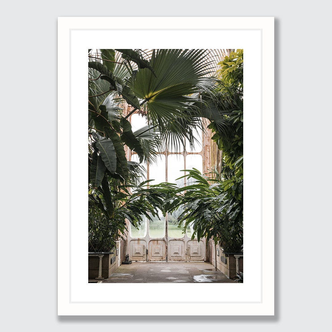 Palm Photographic Print by Amy Wybrow