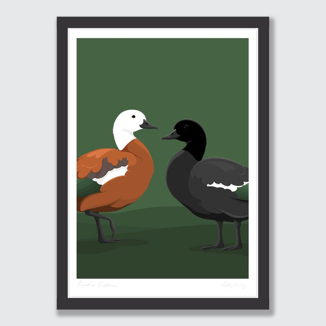 Paradise Shelduck Art Print by Cathy Hansby