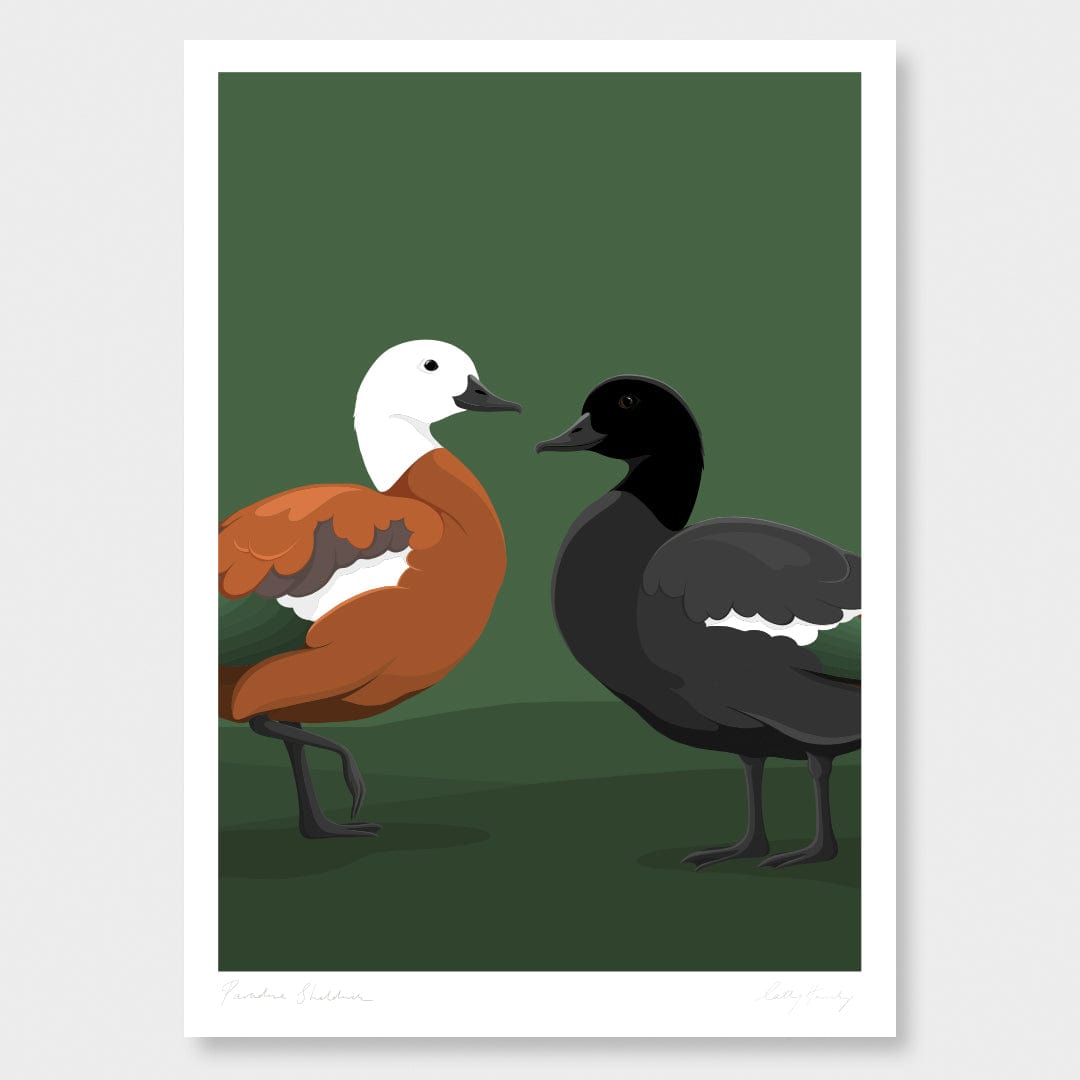 Paradise Shelduck Art Print by Cathy Hansby
