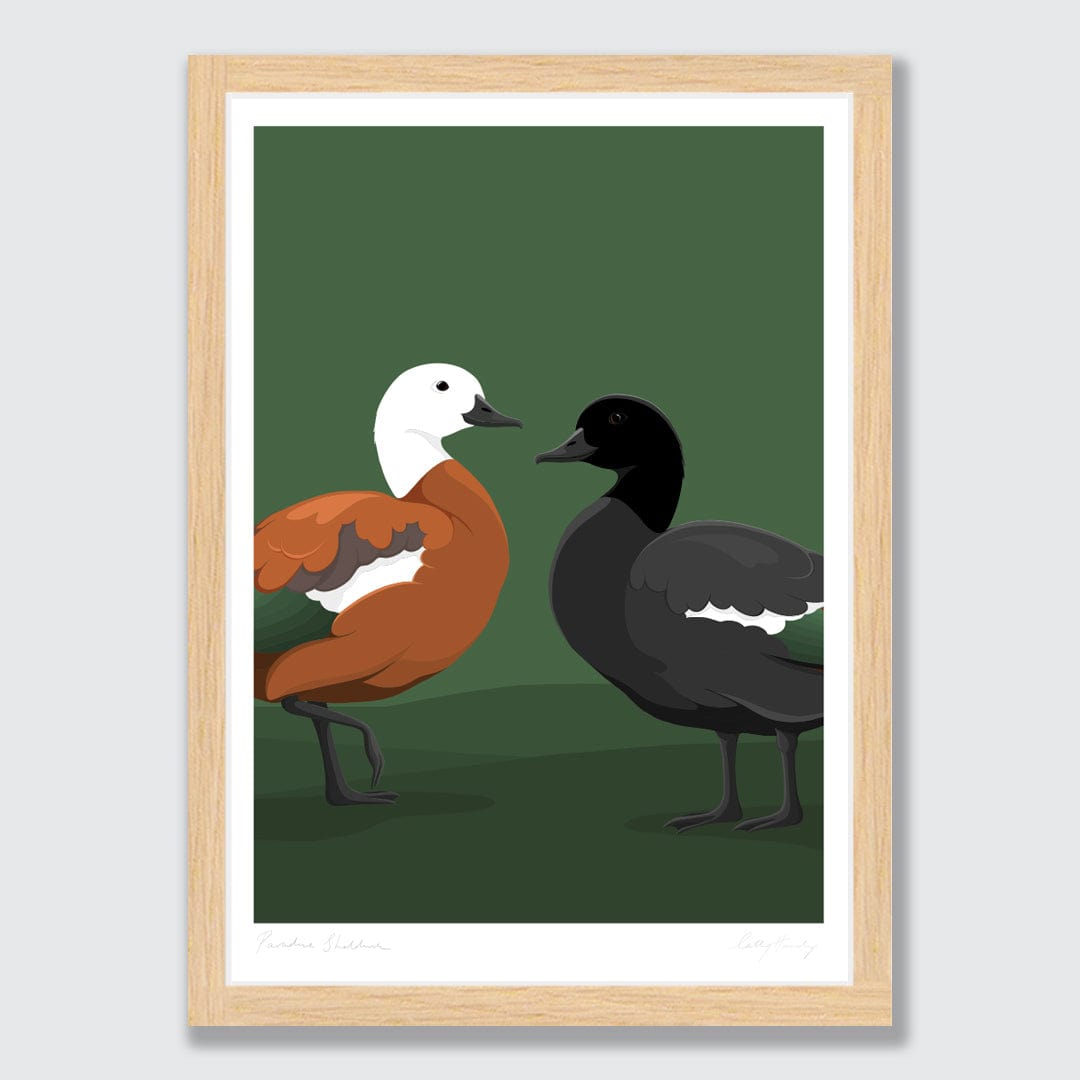 Paradise Shelduck Art Print by Cathy Hansby