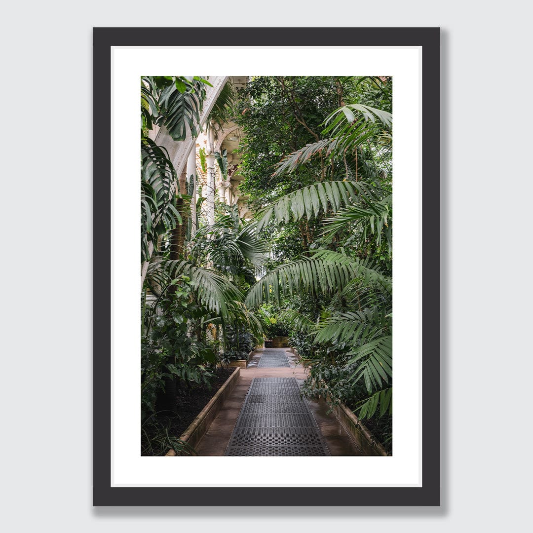 Path Photographic Print by Amy Wybrow