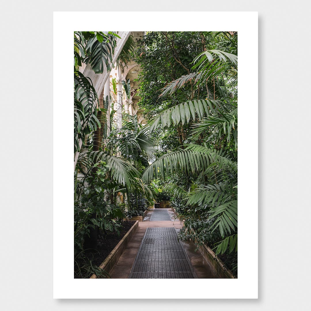 Path Photographic Print by Amy Wybrow