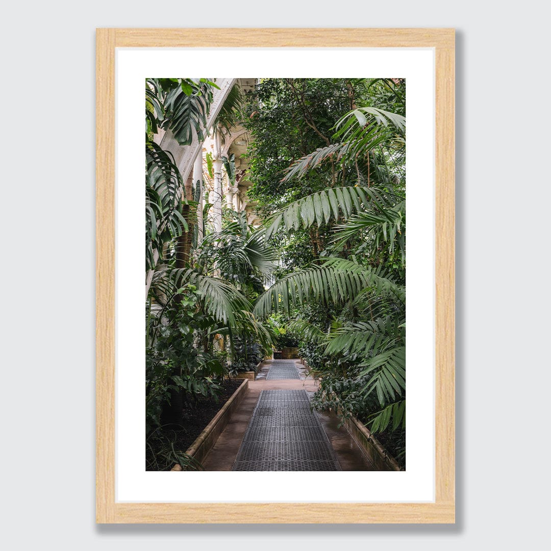 Path Photographic Print by Amy Wybrow