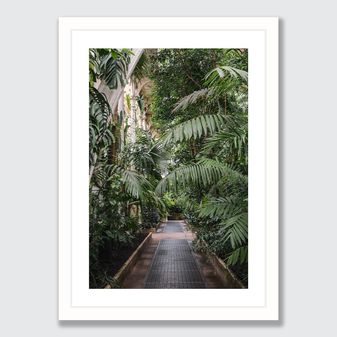 Path Photographic Print by Amy Wybrow