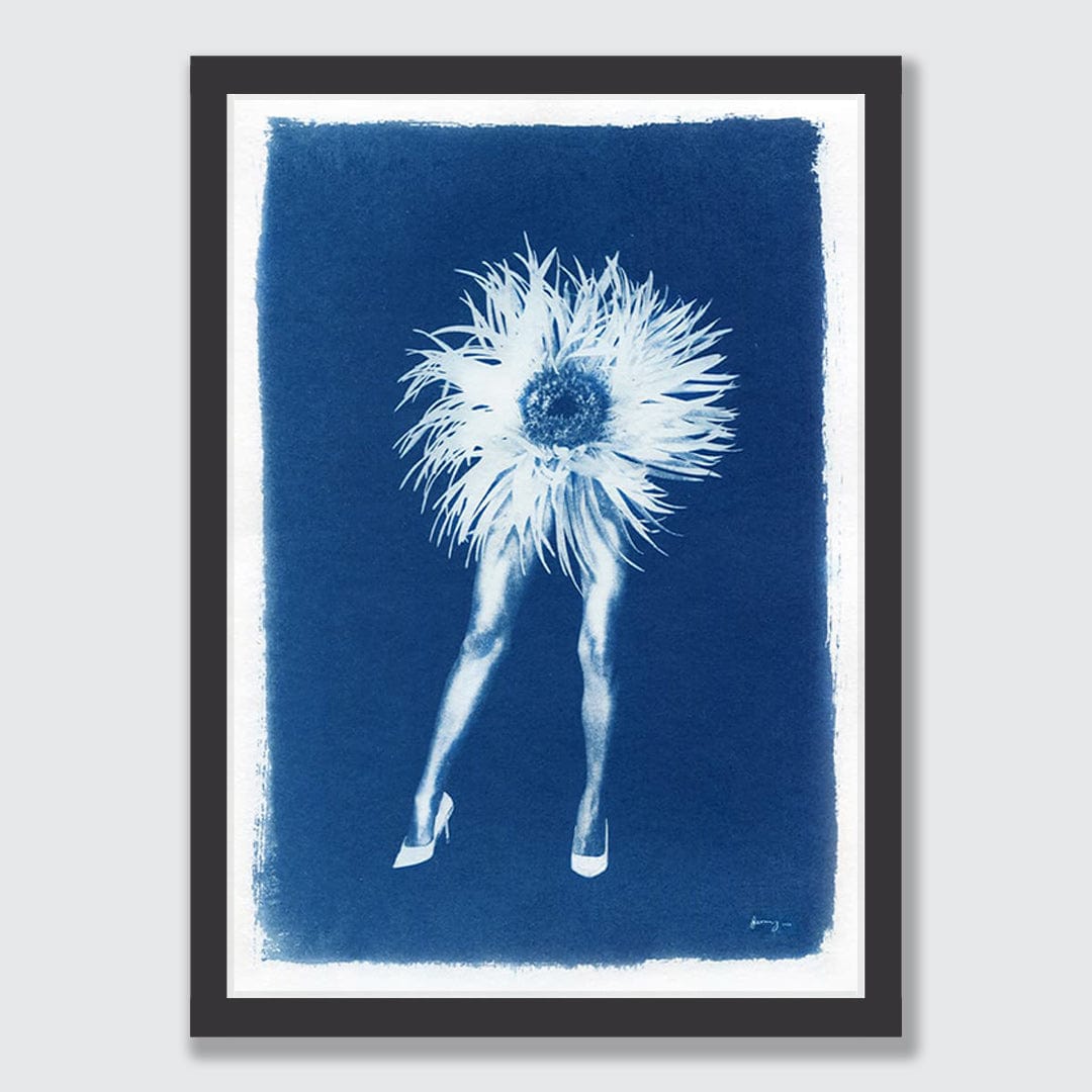 Phantasmagoria 04 Chrysanthemum Limited Edition Cyanotype by Sophia Jenny