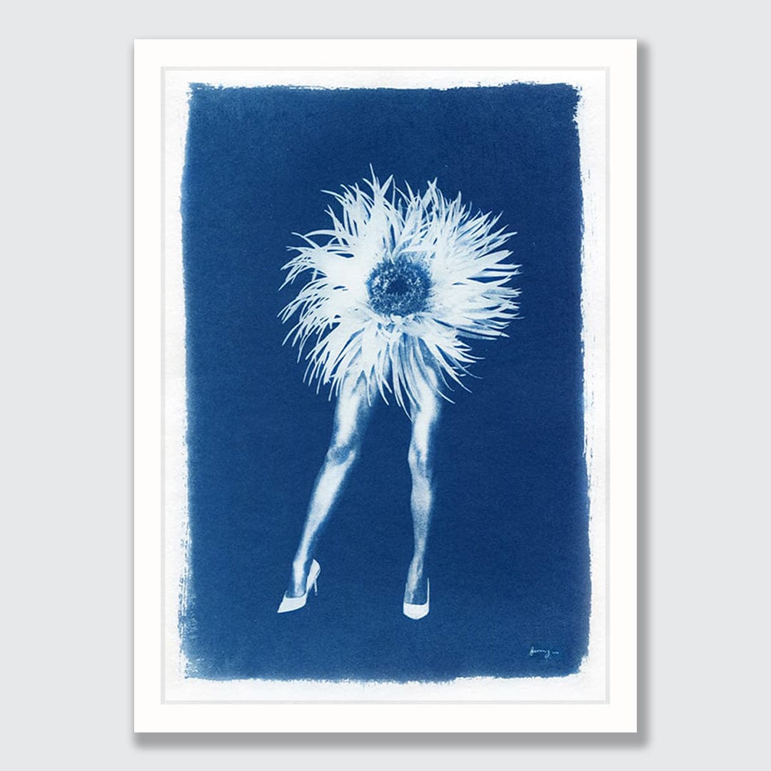 Phantasmagoria 04 Chrysanthemum Limited Edition Cyanotype by Sophia Jenny