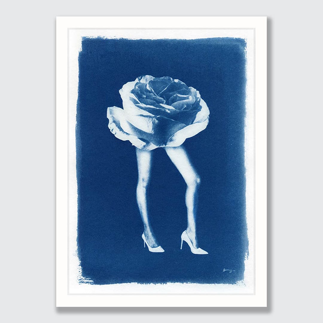 Phantasmagoria 05 Rose Limited Edition Cyanotype by Sophia Jenny