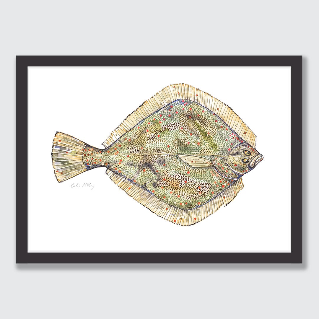 'Phil' Flounder Art Print by Colin McKay