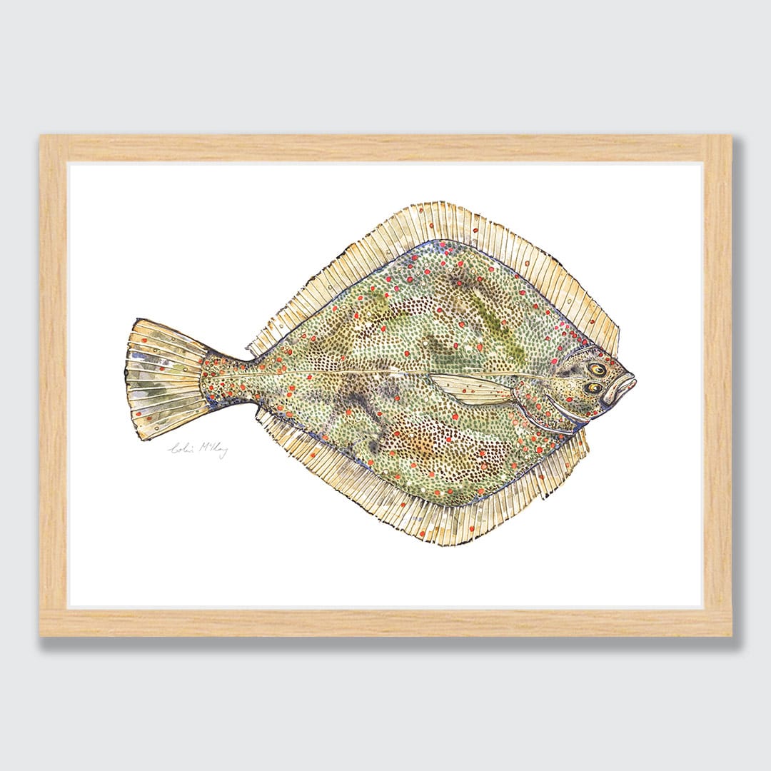 'Phil' Flounder Art Print by Colin McKay