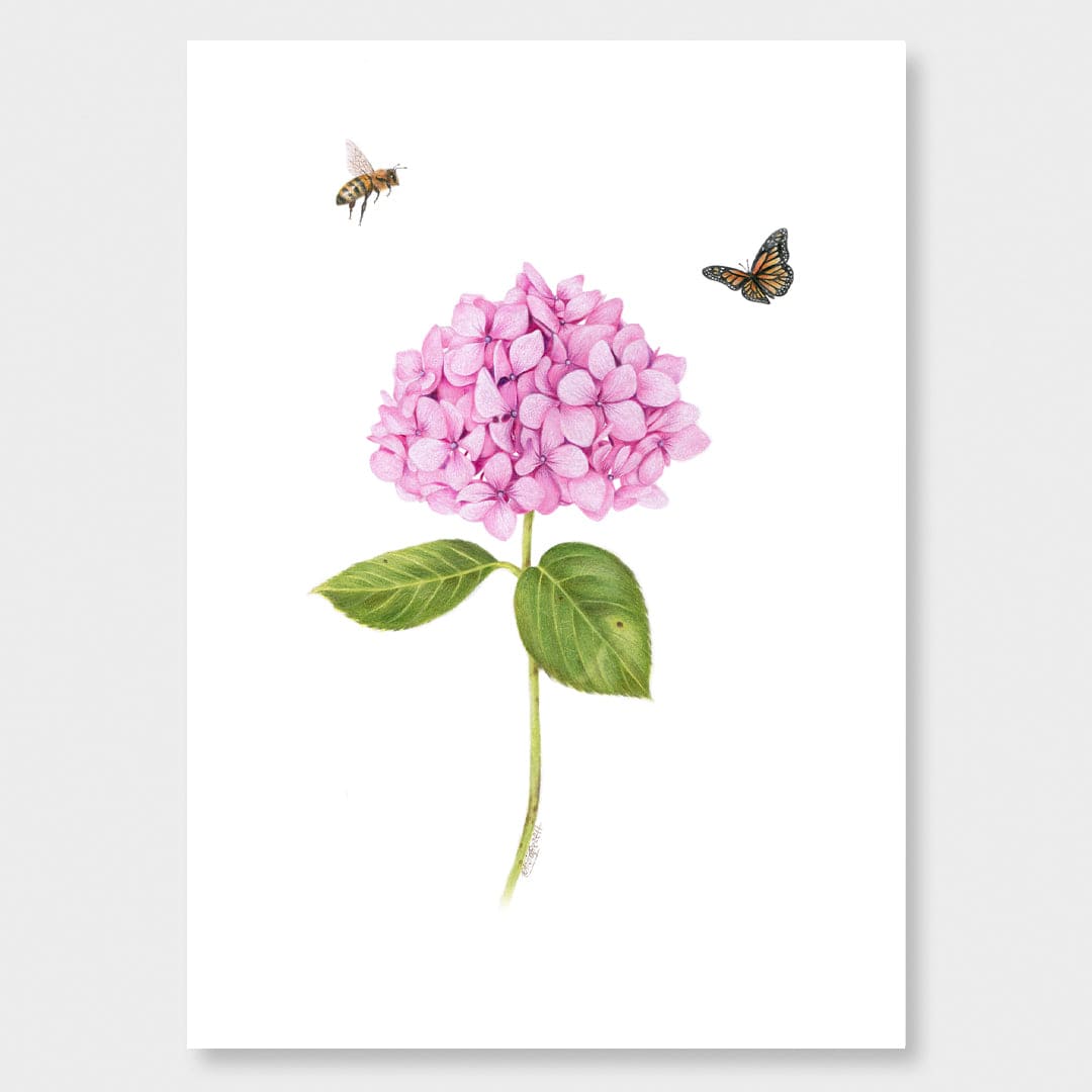 Pink Hydrangea, Bee and Butterfly Art Print by Olivia Bezet