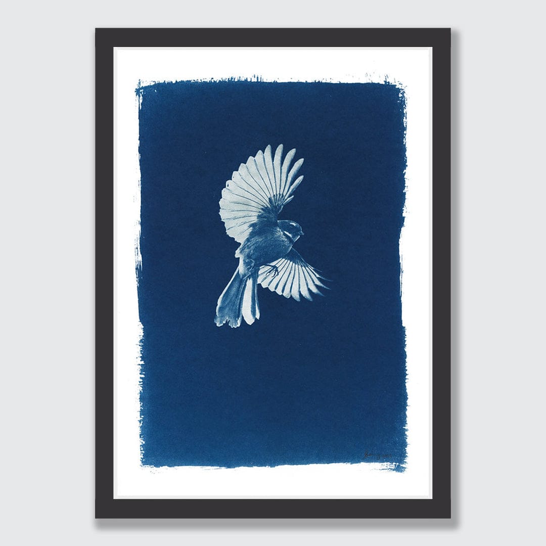 Piwakawaka Cyanotype by Sophia Jenny