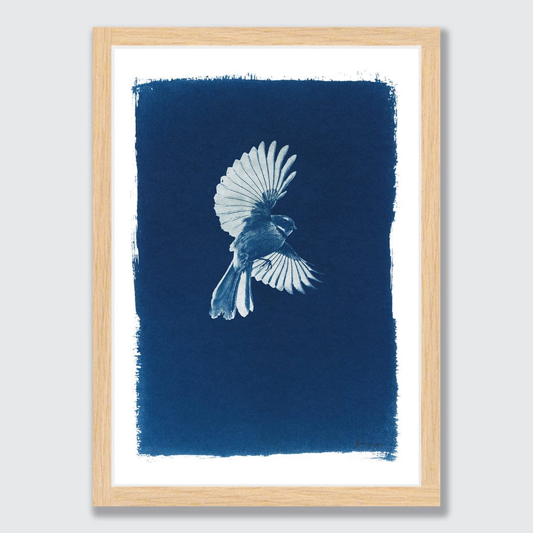 Piwakawaka Cyanotype by Sophia Jenny