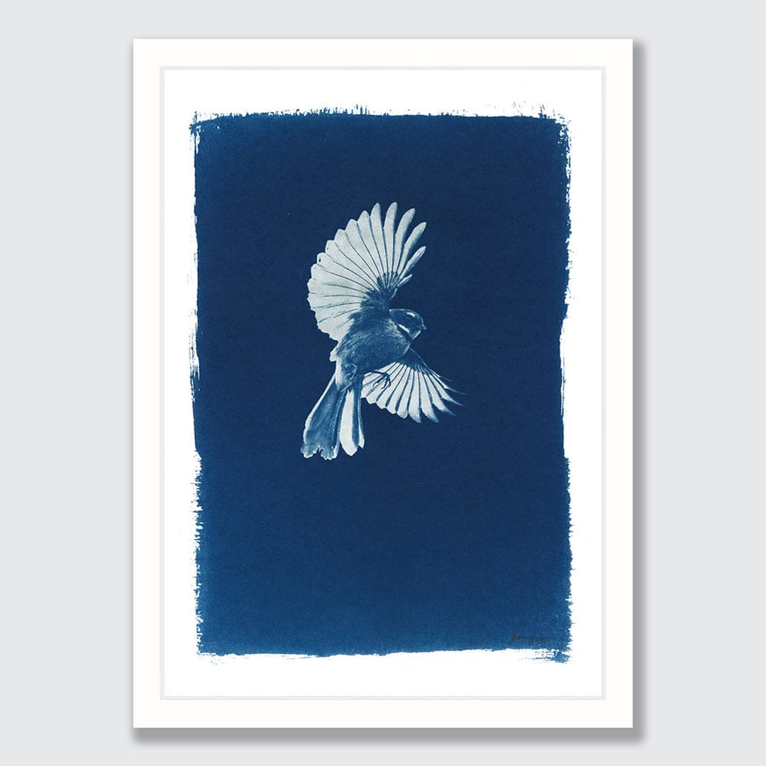Piwakawaka Cyanotype by Sophia Jenny